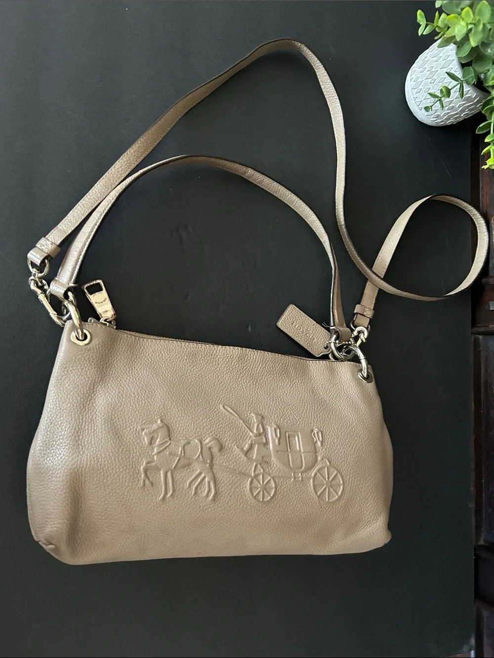 Coach Leather Crossbody Bag in Taupe with Embossed Carriage